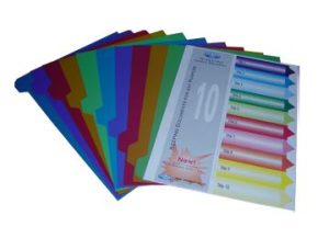 CHIA FILE NHỰA 10 MÀU