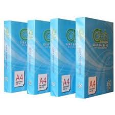 Giấy Bãi Bằng A4 vỏ xanh 60gsm (Có tem)